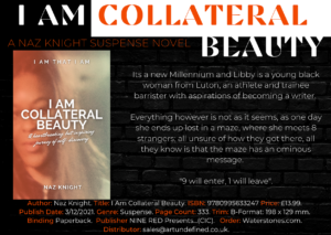 I Am Collateral Beauty Novel Sell sheet